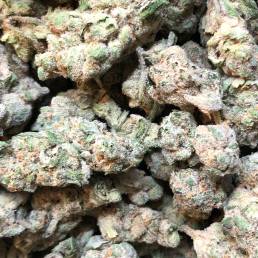 Jack Frost | Buy Weed Online| Dispensary Near Me