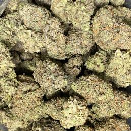Black Rhinno OG Kush | Buy Weed Online | Dispensary Near Me