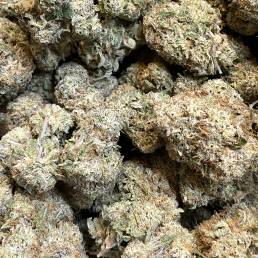 Durban Poison | Buy Weed Online | Dispensary Near Me