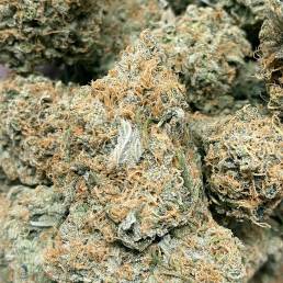 Moby Dick | Buy Weed Online | Dispensary Near Me