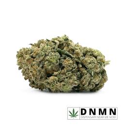 Mr. Nice Guy | Buy Weed Online| Dispensary Near Me