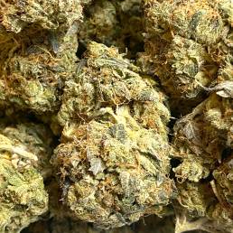 Purple Kush | Buy Weed Online| Dispensary Near Me