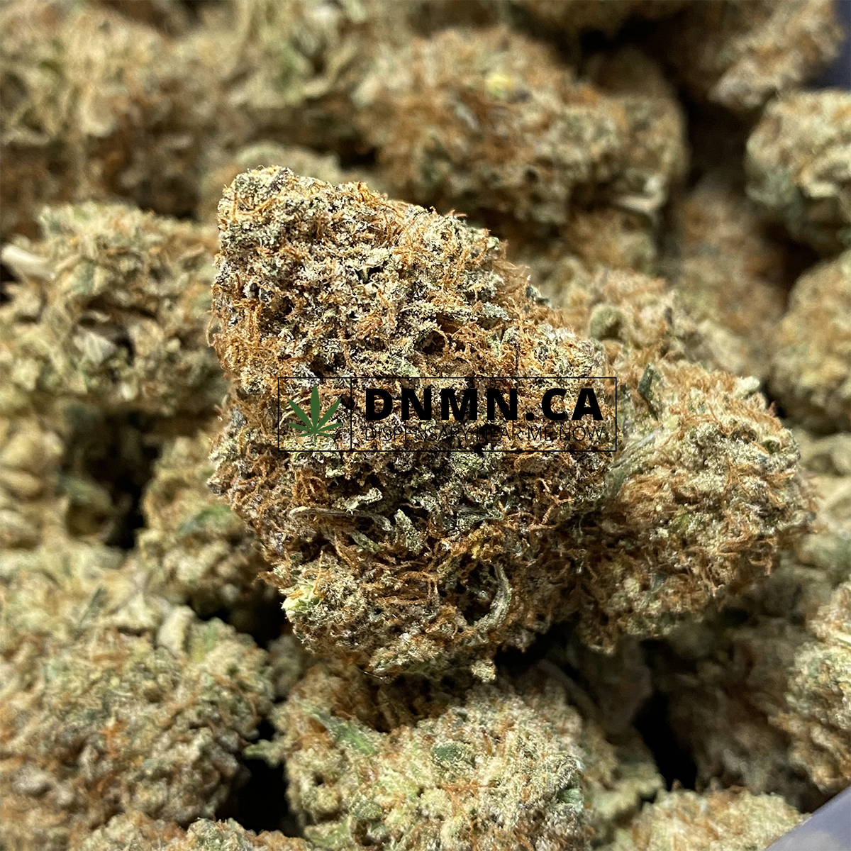 Purple Legend - Online Dispensary Canada - Dispensary Near Me Now