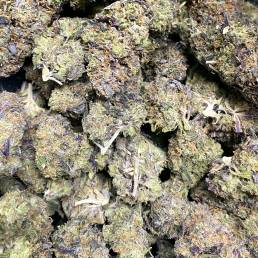 Purple Mazar | Buy Weed Online| Dispensary Near Me