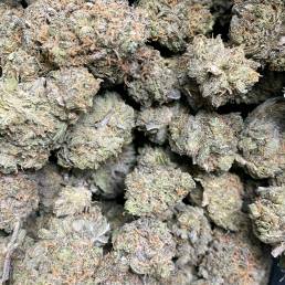 Tahoe Alien | Buy Weed Online | Dispensary Near Me