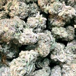 Blue Fin Tuna Kush| Buy Weed Online | Dispensary Near Me