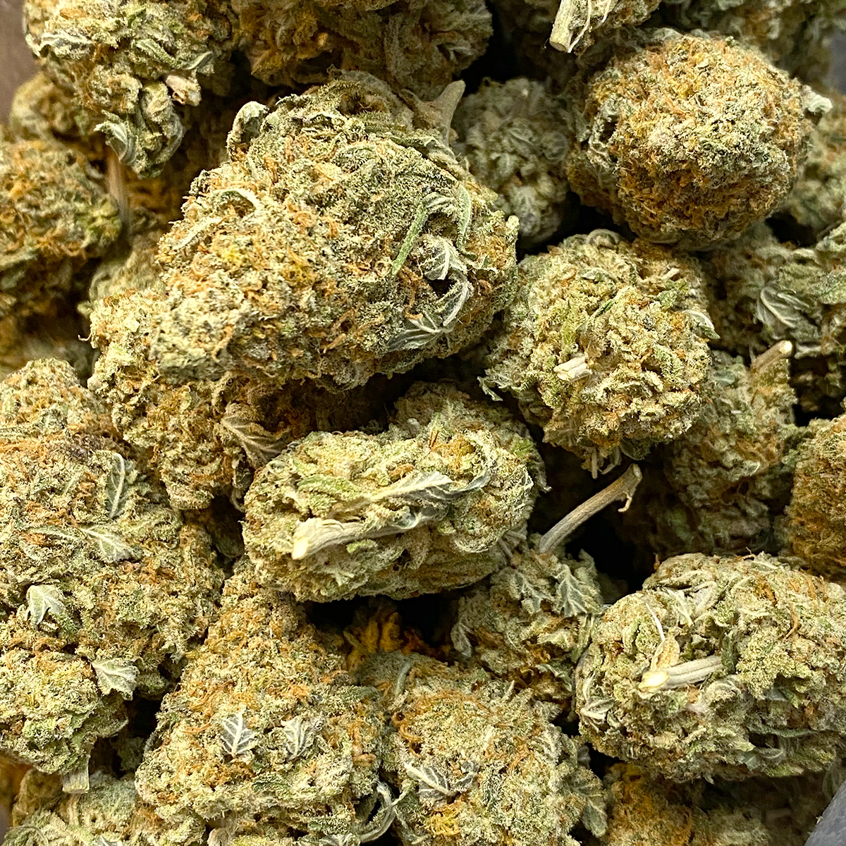 Cotton Candy Kush Buy Weed Weed Dispensary Near Me