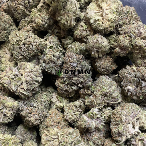 King Louie XIII - Cheap Weed Canada - Dispensary Near Me Now