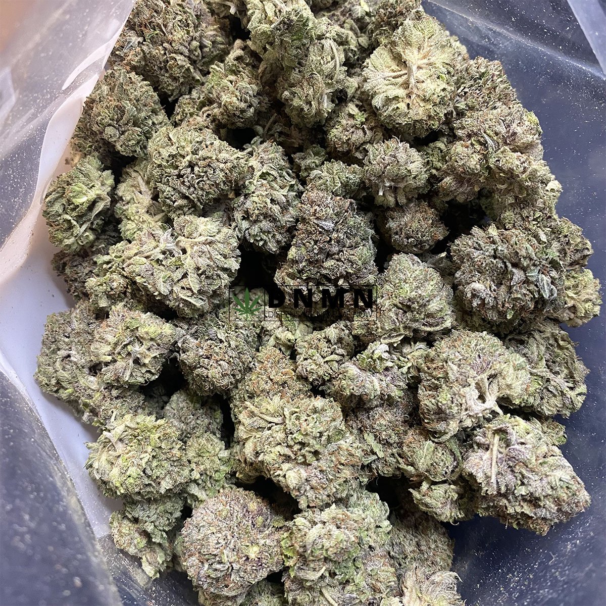 King Louie XIII Online Dispensary Canada Dispensary Near Me Now