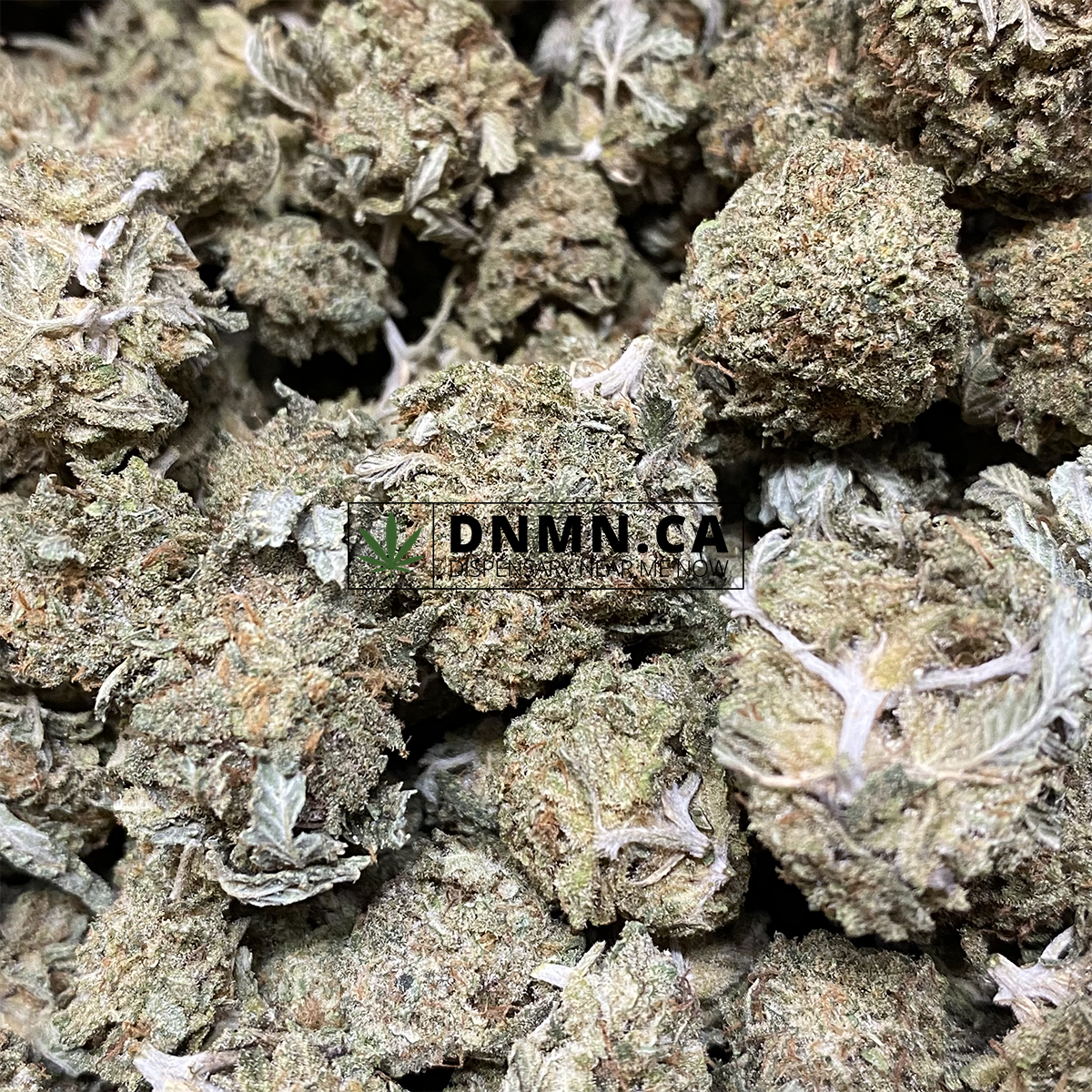 Sour OG Kush - Online Dispensary Canada - Dispensary Near Me Now