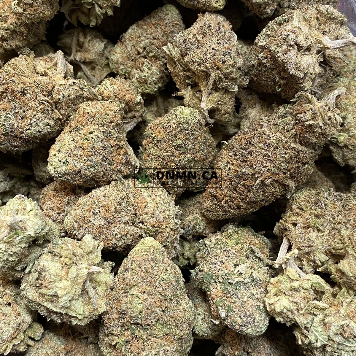 Blue Dream - Online Dispensary Canada - Dispensary Near Me Now