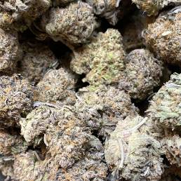 Grizzly Purple Kush | Buy Weed Online | Dispensary Near Me