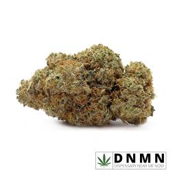 Moby Dick | Buy Weed Online| Dispensary Near Me