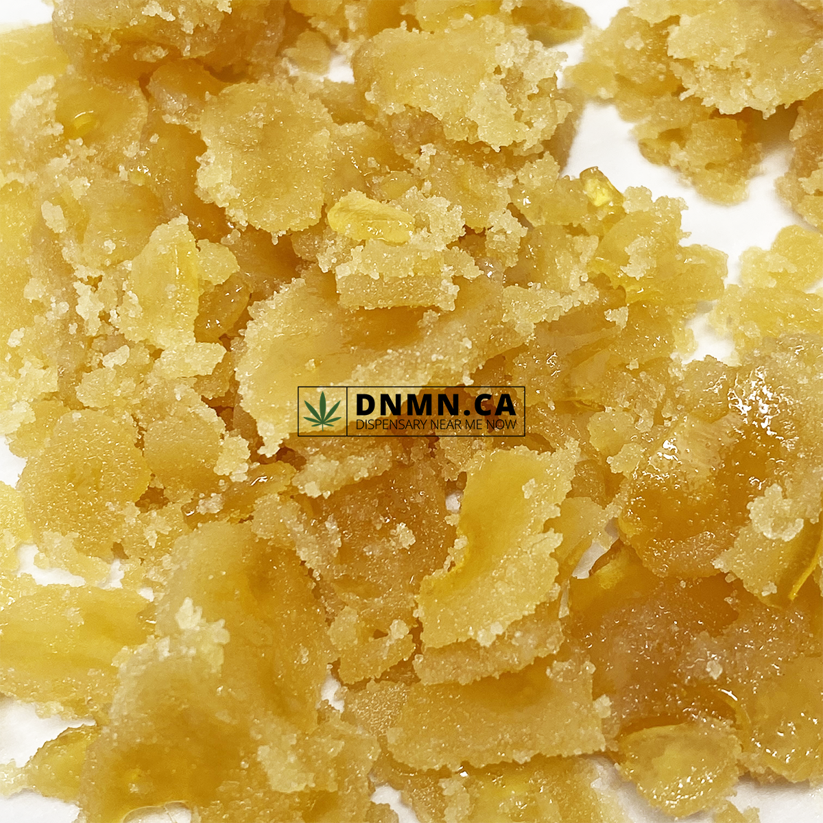 Tropicana Haze - Sugar Wax