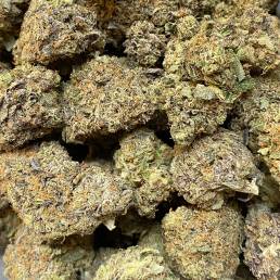 Purple Khalifa Kush | Buy Weed Online| Dispensary Near Me