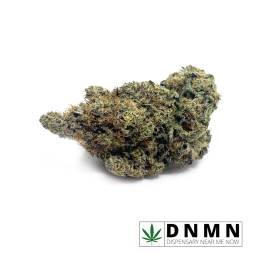 Cactus Breath | Buy Weed Online| Dispensary Near Me