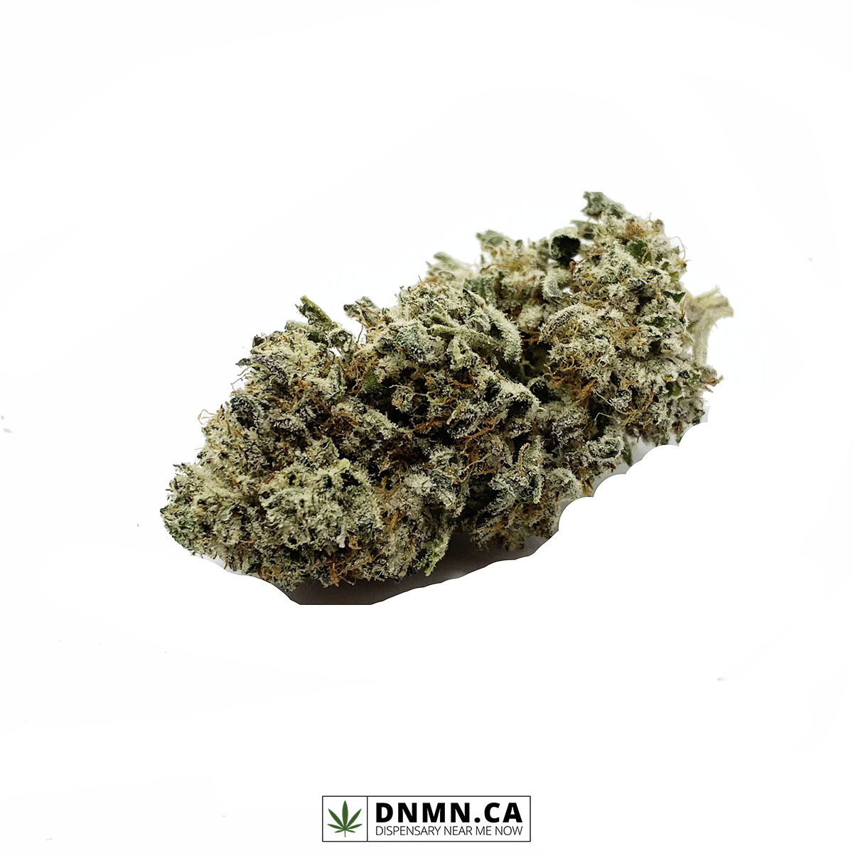 Cactus Breath - Buy Weed Online - Dispensary Near Me Now