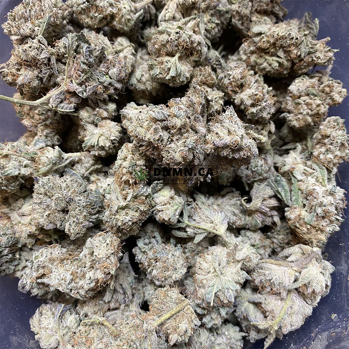 Cactus Breath - Cheap Weed Canada - Dispensary Near Me Now