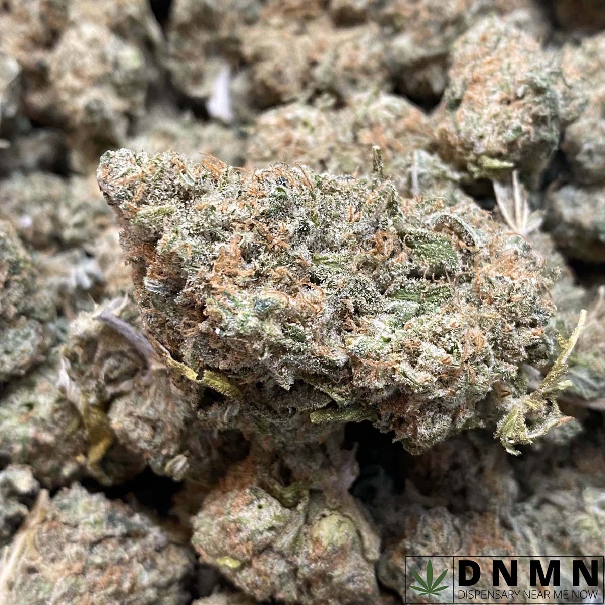 Girl Scout Cookies Buy Weed Online Dispensary Near Me