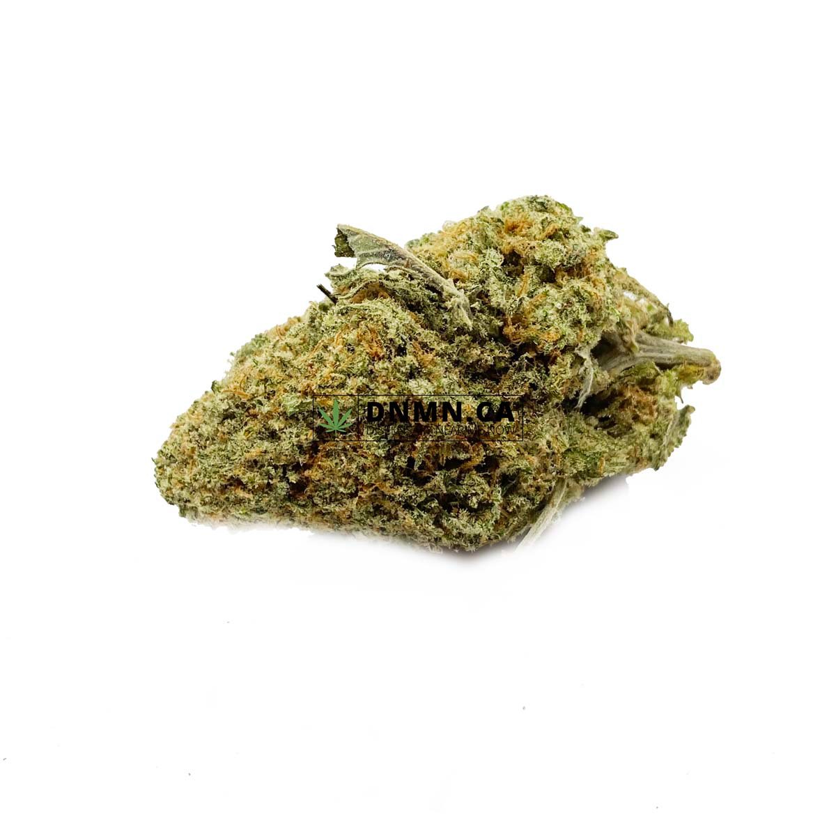 Jack Frost - Buy Weed Online - Dispensary Near Me