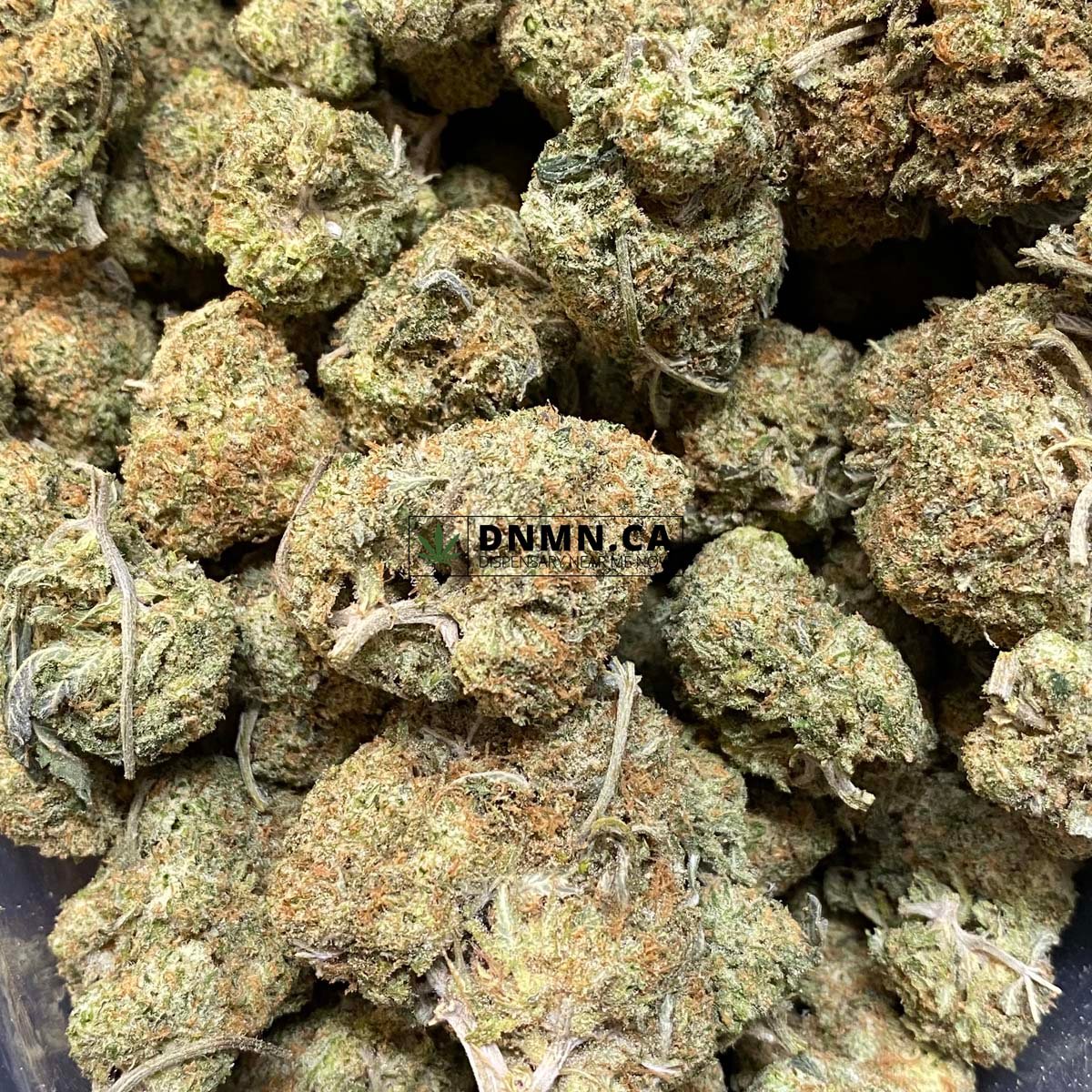 Jack Frost - Online Dispensary Canada - Dispensary Near Me