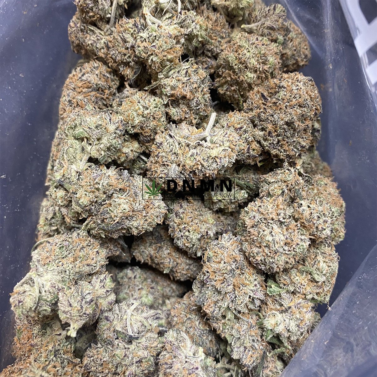 Purple Skunk Online Dispensary Canada Dispensary Near Me Now