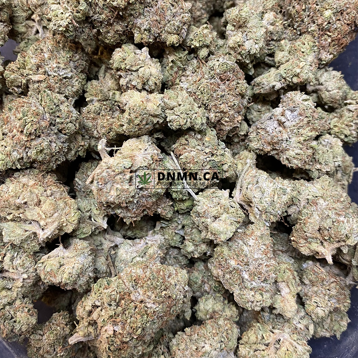 Greasy Rockstar - Online Dispensary Canada - Dispensary Near Me Now