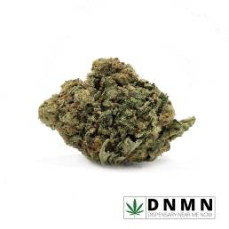Zedd | Buy Weed Online| Dispensary Near Me