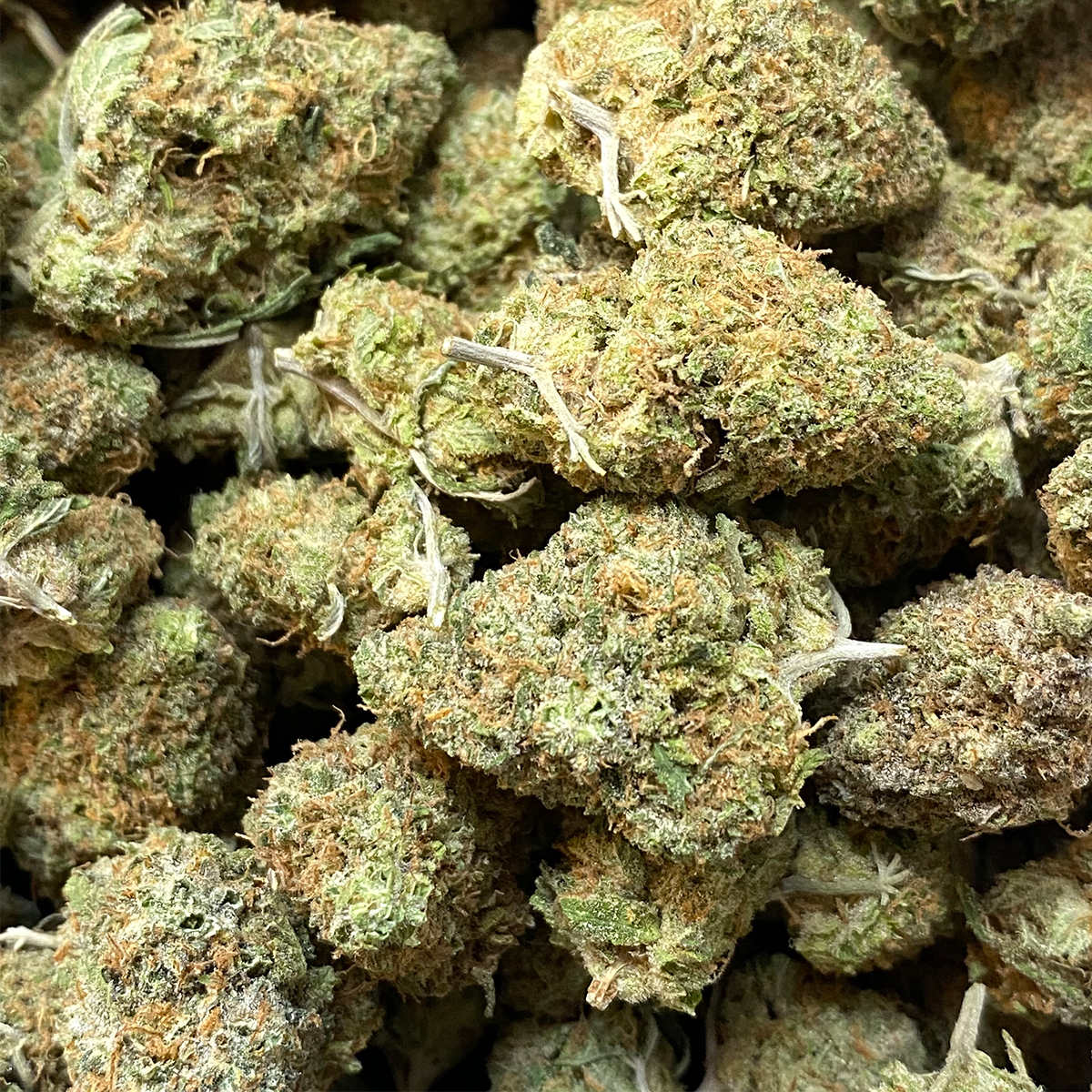 Chocolate Kush Buy Weed Online Dispensary Near Me