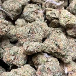 Critical Mass | Buy Weed Online | Dispensary Near Me