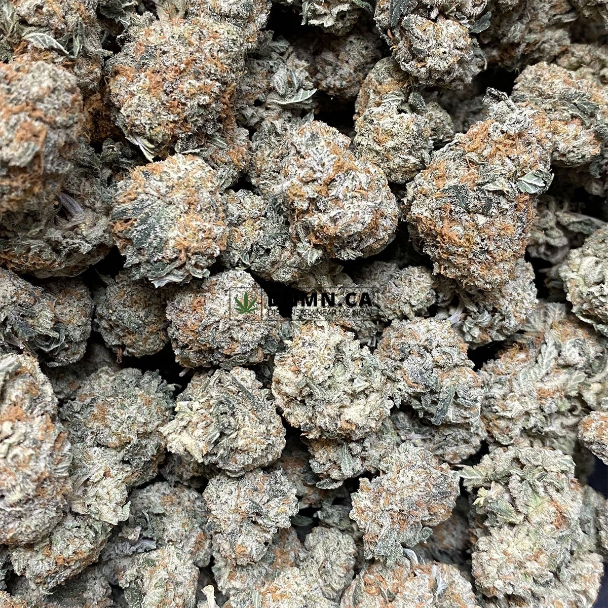 Monster Cookies Online Dispensary Canada Dispensary Near Me Now