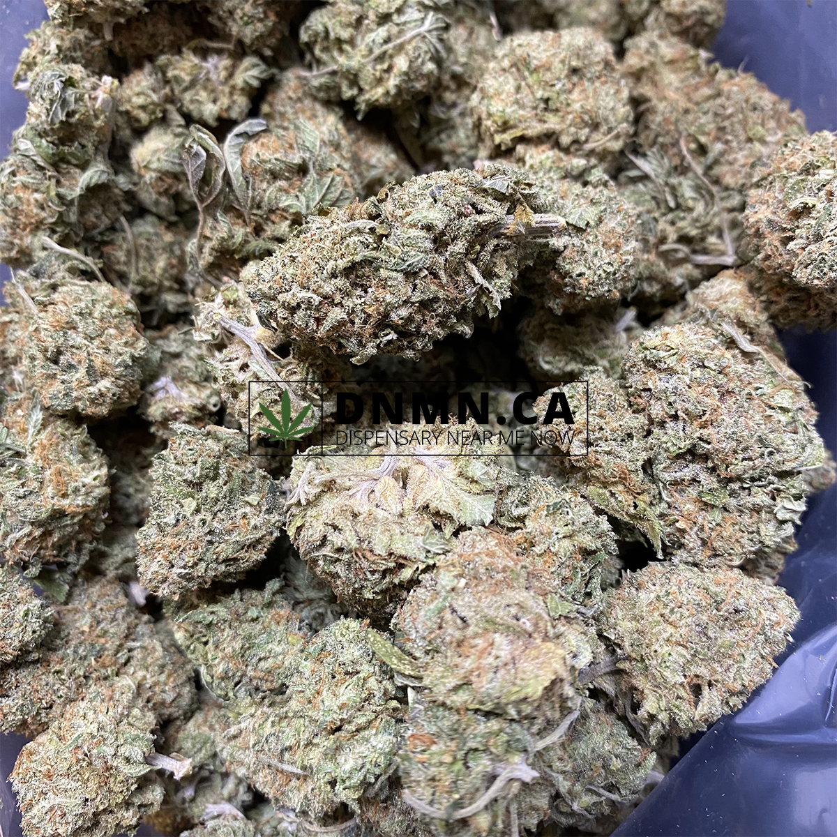 Cali Bubba - Cheap Weed Canada - Dispensary Near Me Now