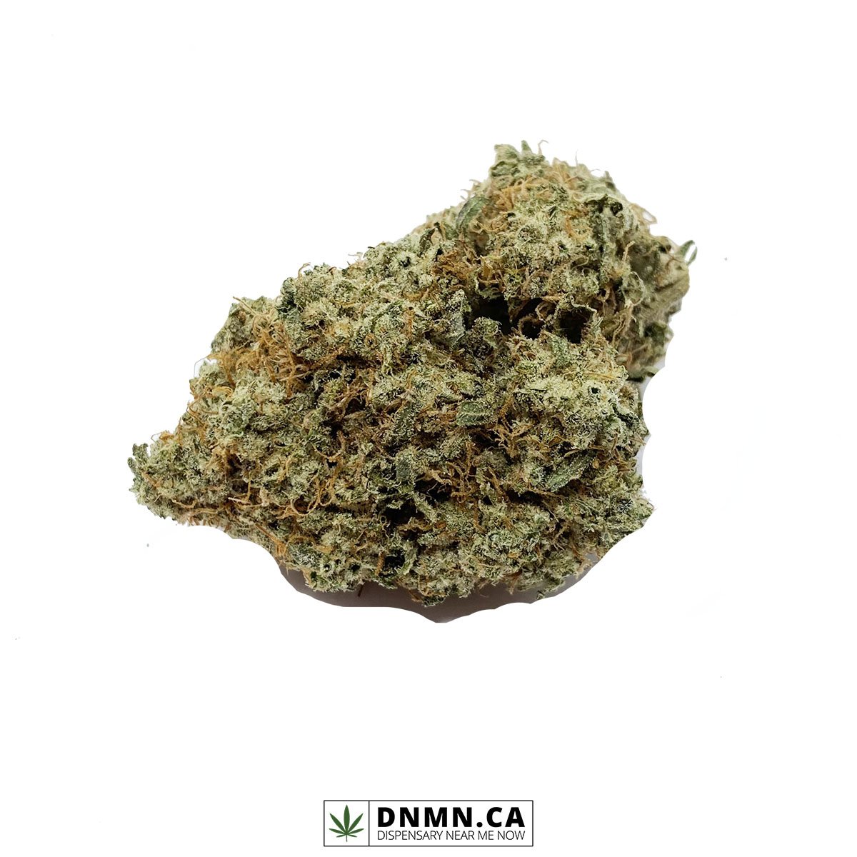 GMO Cookies - Buy Weed Online - Dispensary Near Me Now