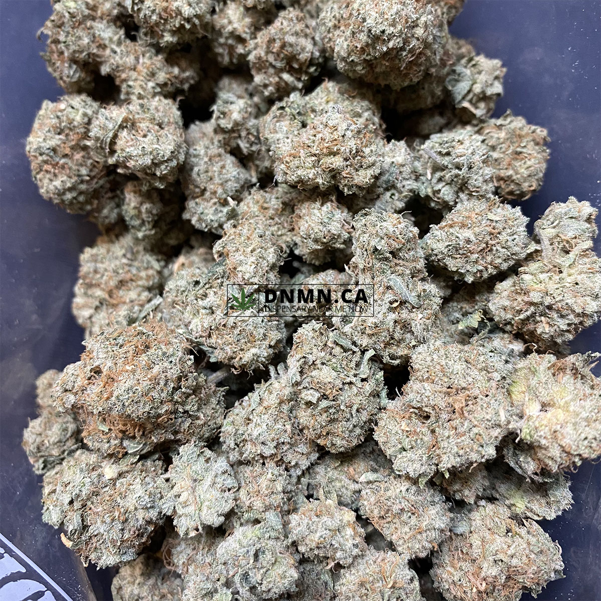 GMO Cookies - Cheap Weed Canada - Dispensary Near Me Now