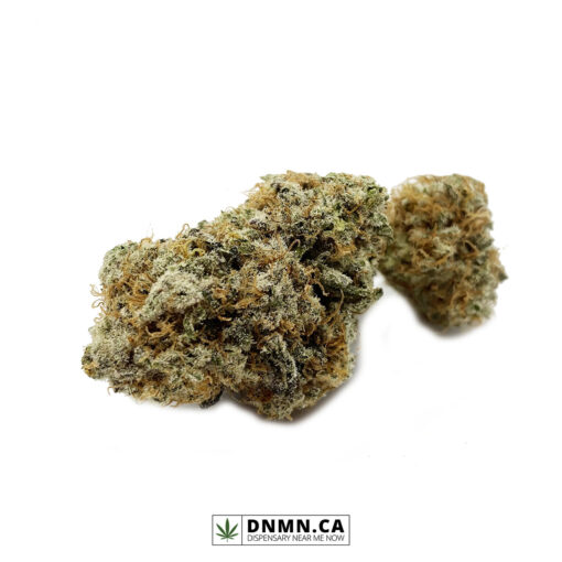 Oreo Stomper - Buy Weed Online - Dispensary Near Me Now