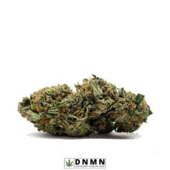 Pink Star - Buy Weed Online - Dispensary Near Me Now