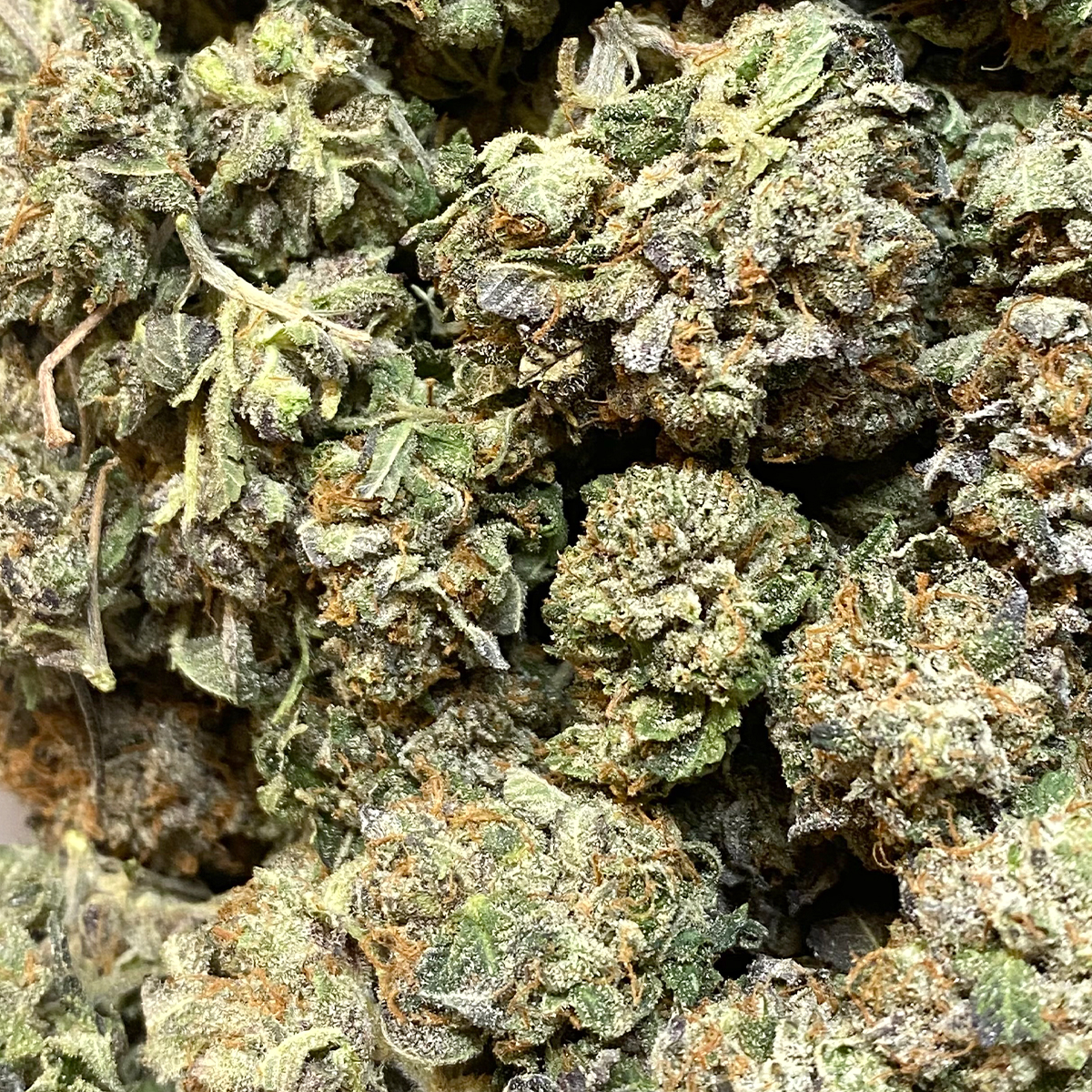 Purple Afghan Kush | Buy Weed Online | Dispensary Near Me