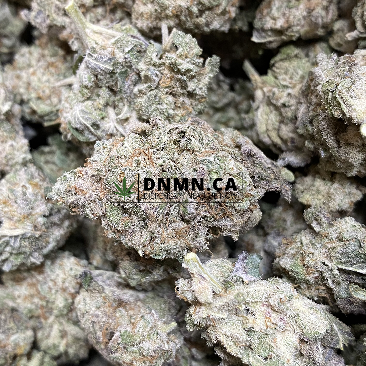 Purple MAC - Online Dispensary Canada - Dispensary Near Me Now