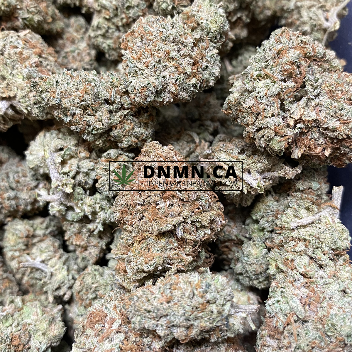 Purple Runtz - Online Dispensary Canada - Dispensary Near Me Now