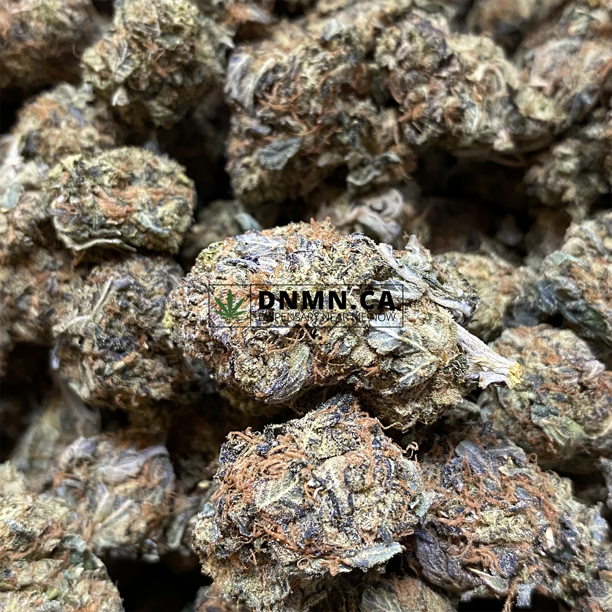 Purple Trainwreck - Online Dispensary Canada - Dispensary Near Me Now