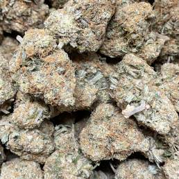 Candyland | Buy Weed Online | Dispensary Near Me