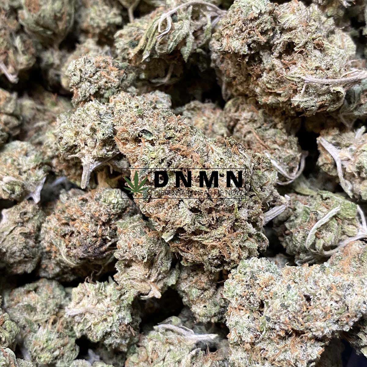 Moby Dick - Online Dispensary Canada - Dispensary Near Me