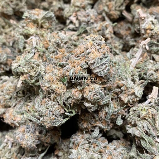 Orange Zkittlez - Online Dispensary Canada - Dispensary Near Me Now