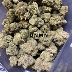 Sour Diesel - Dispensaries Near Me