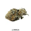 East Coast Sour Diesel - Buy Weed Online - Dispensary Near Me Now