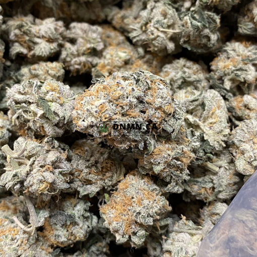 East Coast Sour Diesel - Online Dispensary Canada - Dispensary Near Me Now