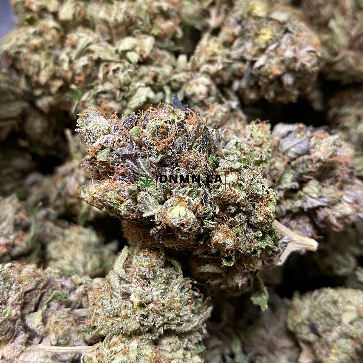 Gorilla Glue #4 - Online Dispensary Canada - Dispensary Near Me Now