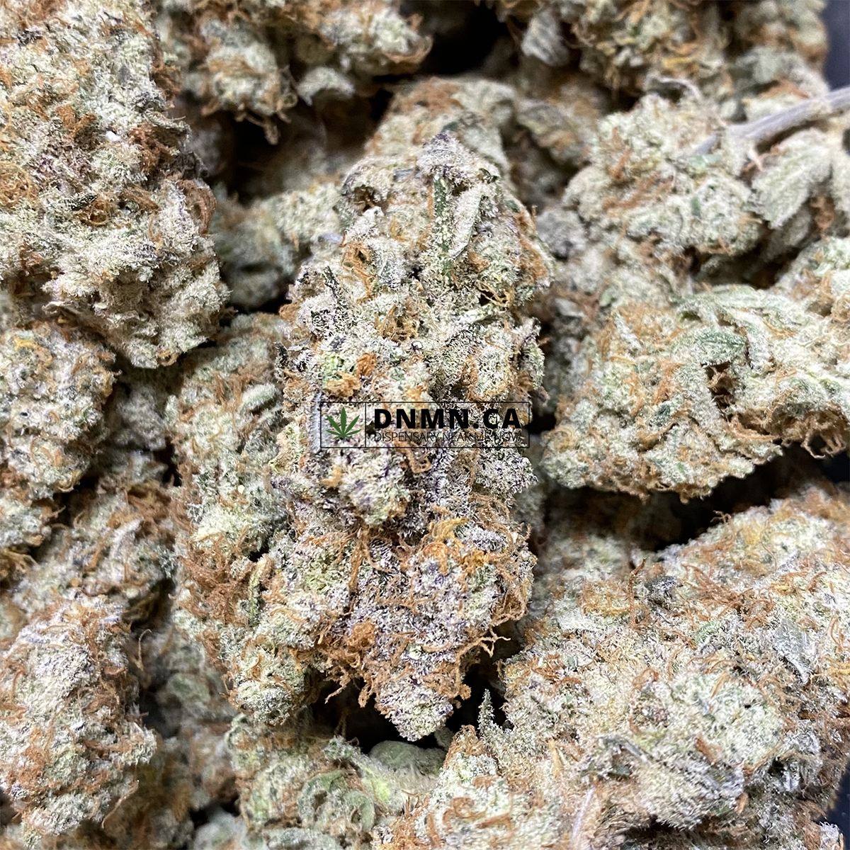 New York Sour Diesel - Online Dispensary Canada - Dispensary Near Me Now