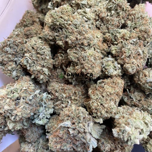 Super Lemon Haze - Cheap Weed Canada - Dispensary Near Me Now