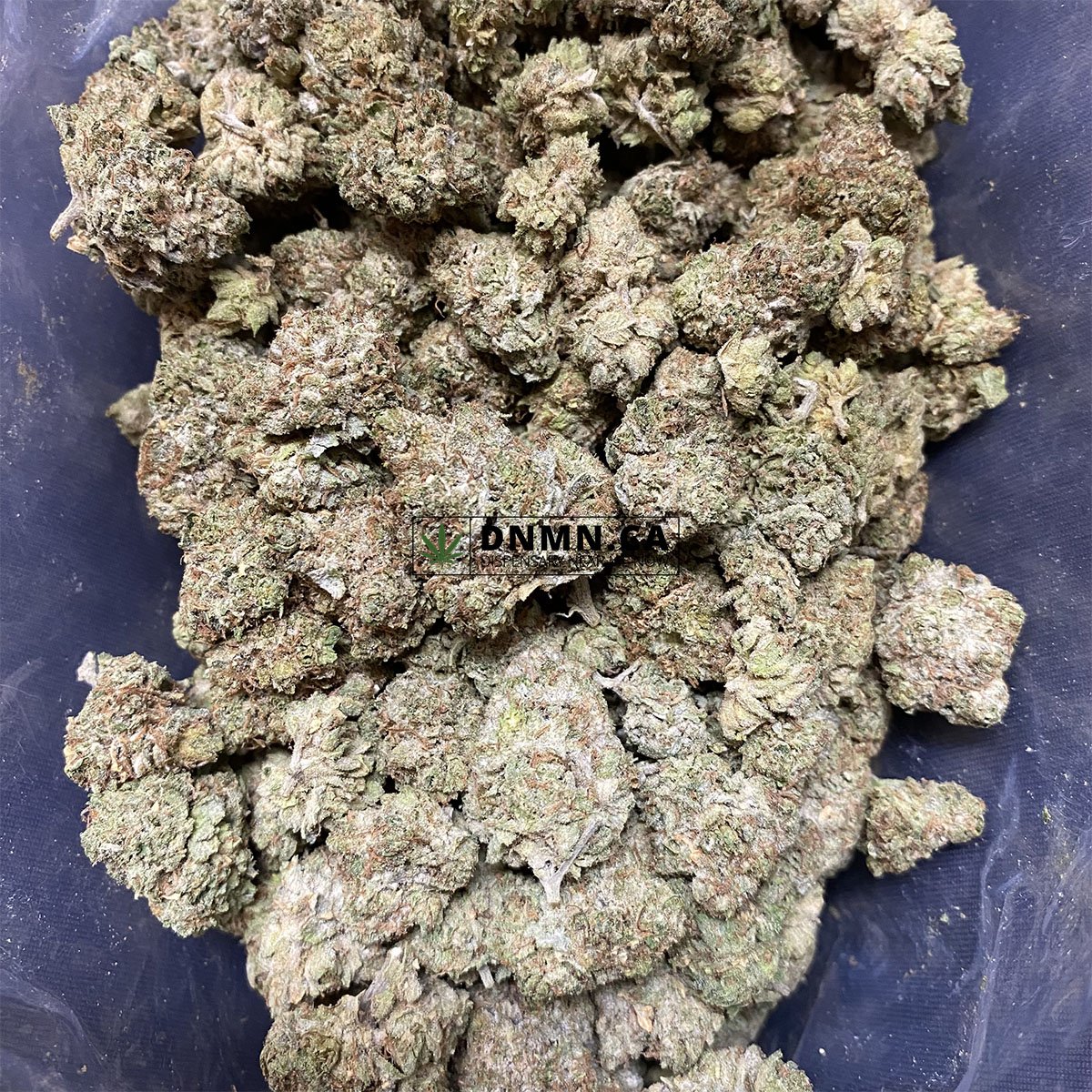 Tuna Kush - Cheap Weed Canada - Dispensary Near Me Now